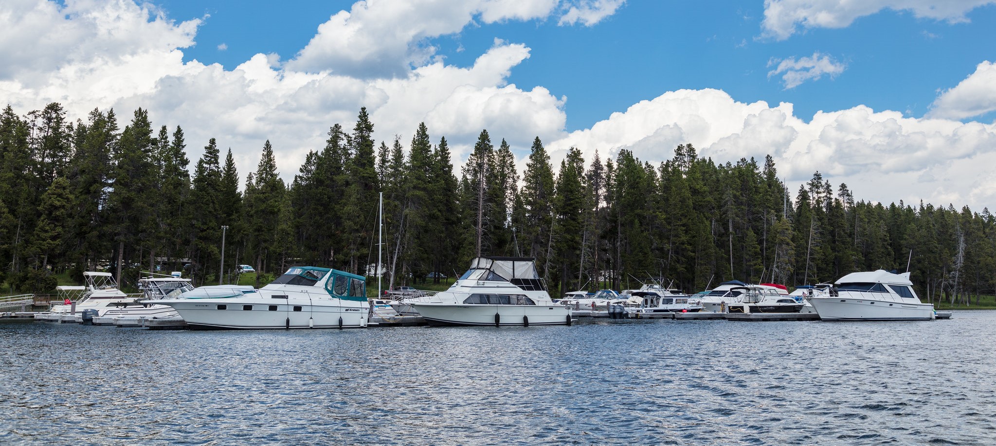 Bridge Bay Marina Header Yellowstone National Park Lodges