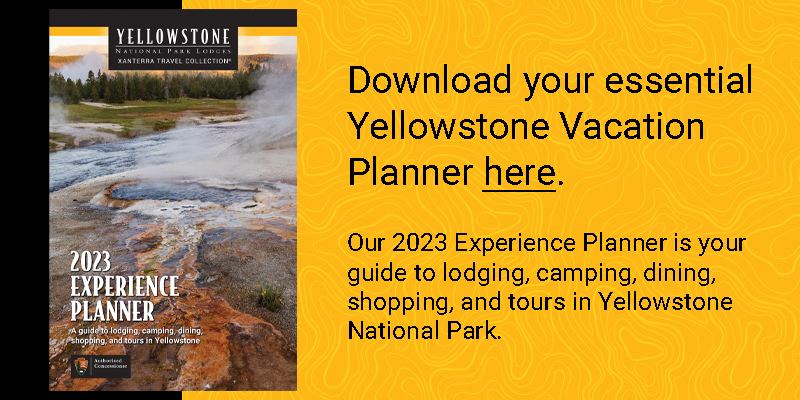 http://www.yellowstonenationalparklodges.com/content/uploads/2023/06/2023-Experience-Planner-Graphic_Website.jpg