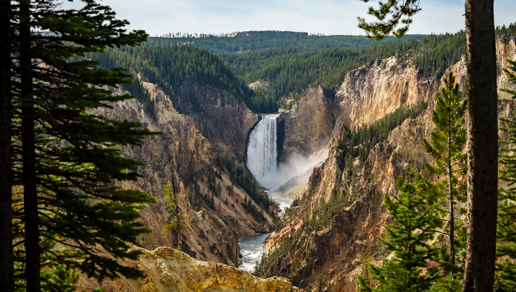 Lower Falls Grand Canyon of the Yellowstone