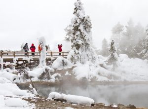 people on a boardwalk with trees covered in ice