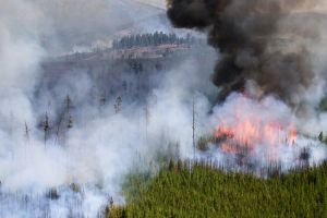 Fire in Yellowstone