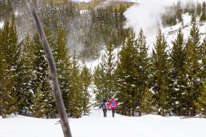 Skiers on Imperial Geyser trail