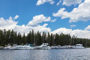 Bridge Bay Marina