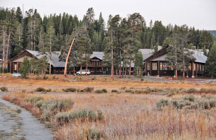 Lake Yellowstone Hotel Cabins Yellowstone National Park Lodges