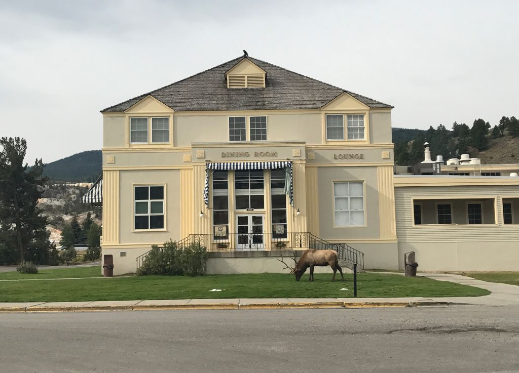 mammoth dining room hours