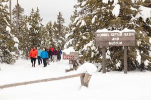 Group walks back to the snowcoach at Norris Geyser Basin