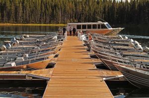 Boats at Bridge Bay Marina in the summer