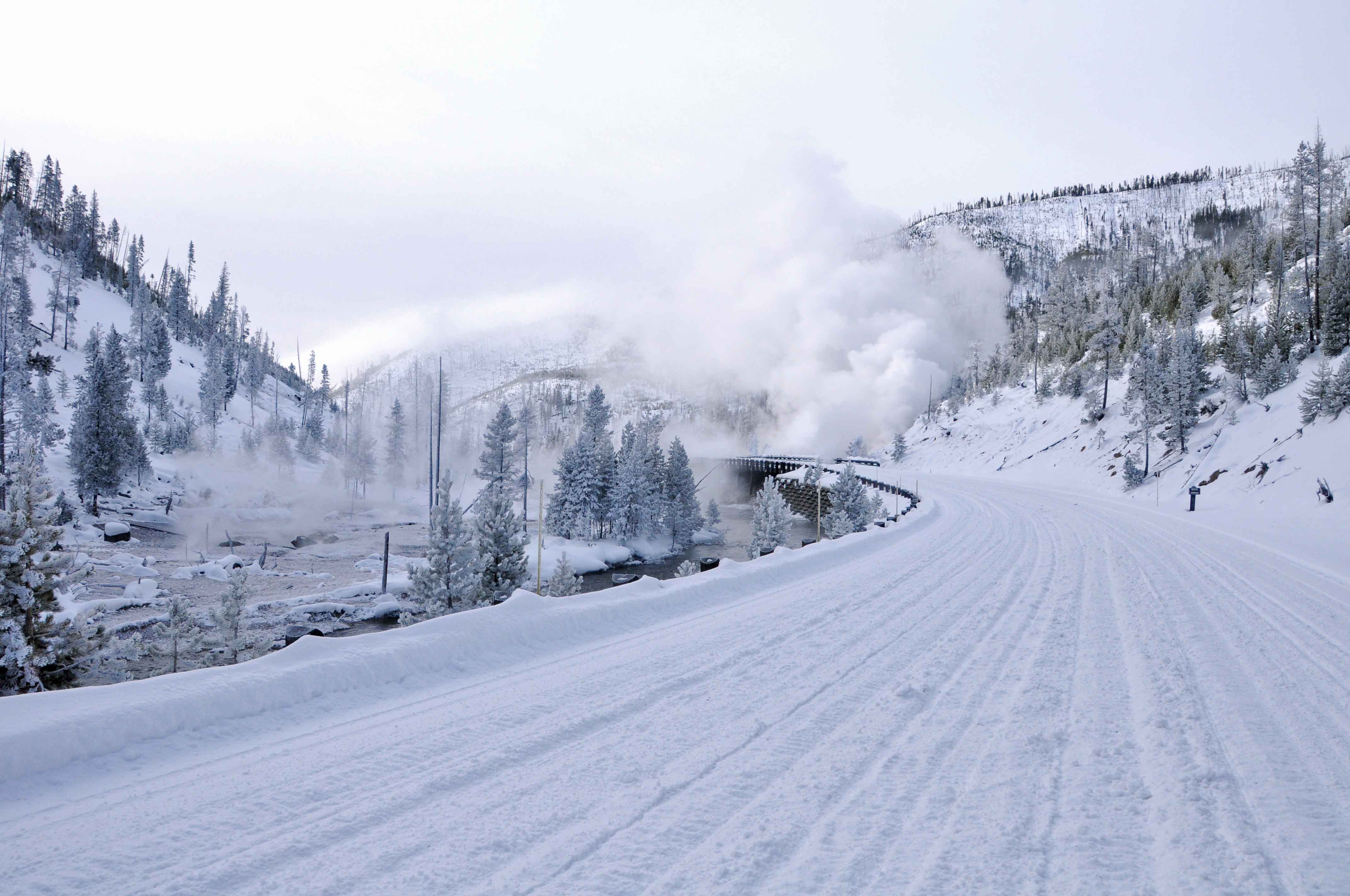 9 Reasons to Visit Yellowstone in Winter