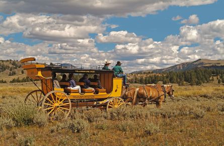 Passengers on stagecoach in the field