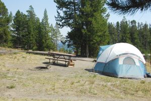 Campsite at Bridge Bay Campground