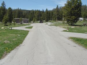 Road at Bridge Bay Campground