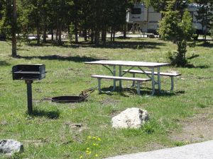 Campsite at Bridge Bay Campground