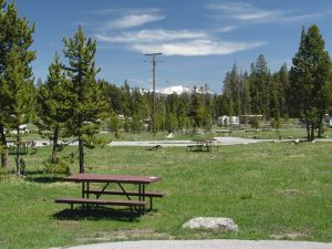 Campsite at Bridge Bay Campground