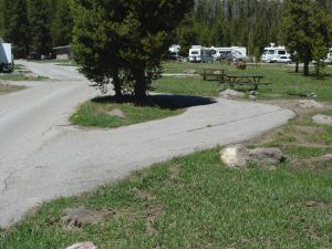 Bridge Bay Campground