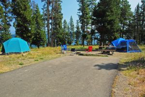 Bridge Bay Campground