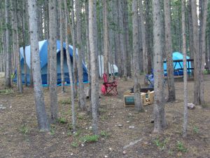 Campsite in the trees at Canyon Campground