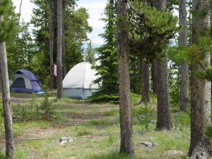 Grant Village Campground