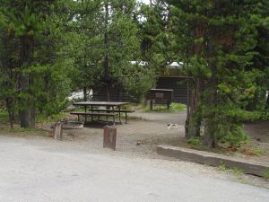 Grant Village Campground