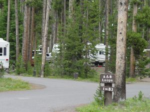 A&B Loop at Grant Village Campground