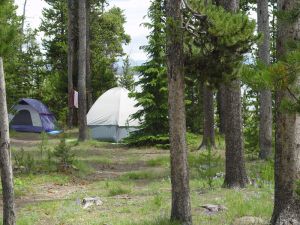 Tents at Grant Village Campground