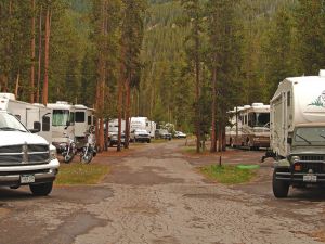 RVs at Madison Campground