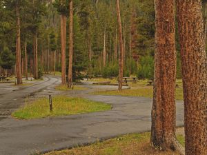 Paths at Madison Campground