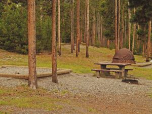 Tent at Madison Campground