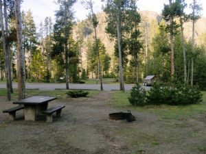 Picnic area at Madison Campground