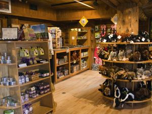 Old Faithful Inn - Gift Shop