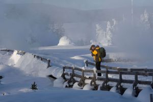 Yellowstone Park