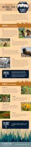 Plants and animals infographic