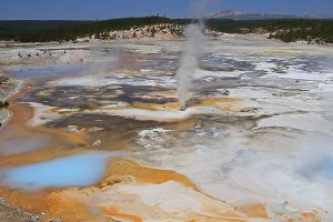 Porcelain Springs in Norris Geyser Basin