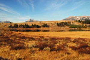 Fall Swan Lake Flats