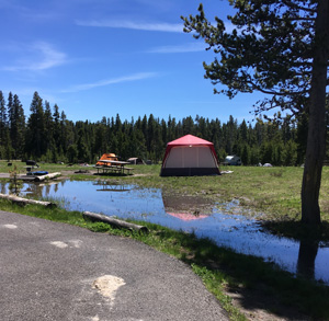 Bridge-Bay-Wet | Yellowstone National Park Lodges