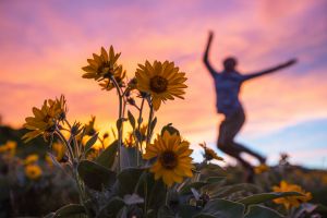 Jumping for joy in a field of spring wildflowers