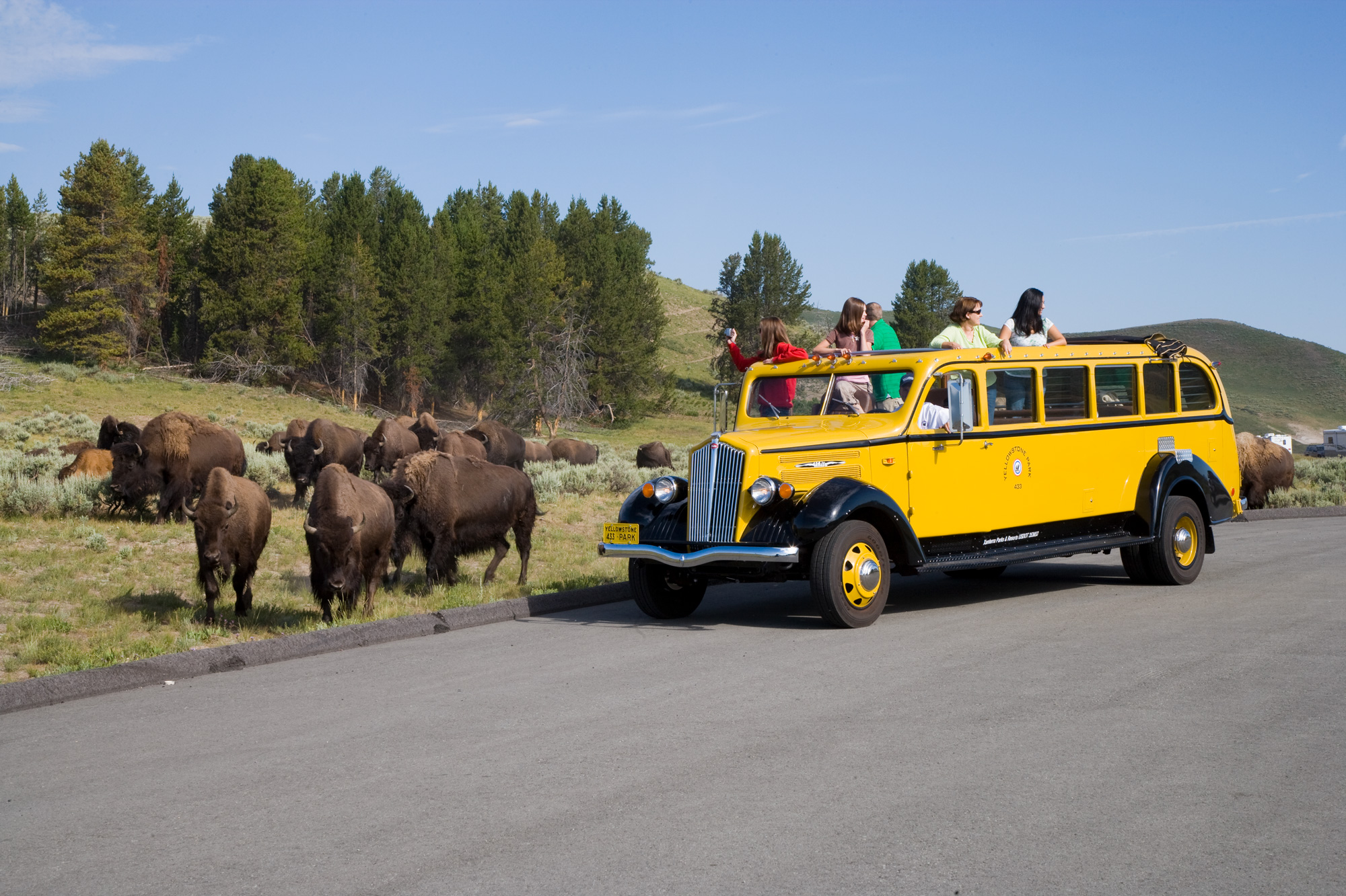 The Coolest Way to Tour by Yellowstone Historic Yellow Bus