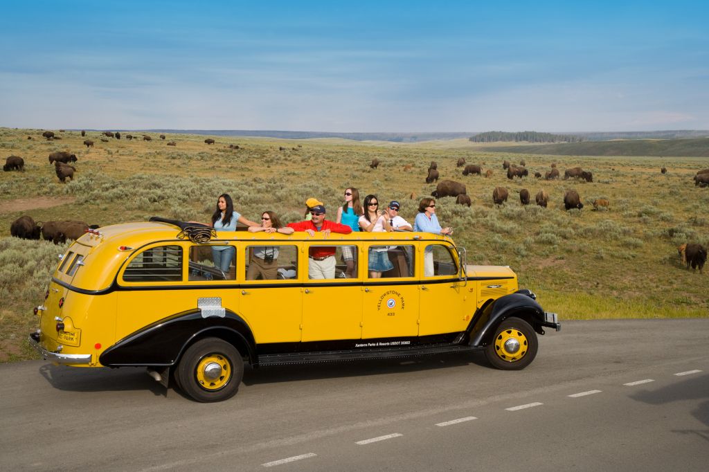 bus tours in yellowstone