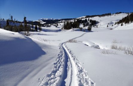 Yellowstone: A Skier’s Paradise