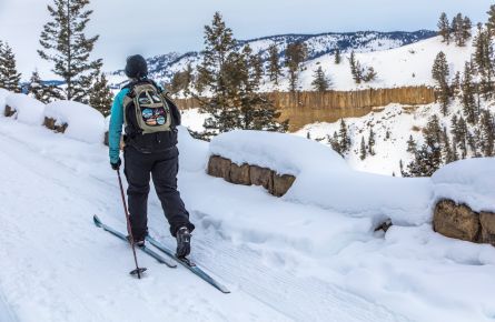 Cross country skier