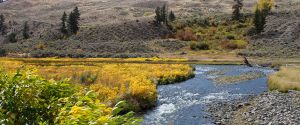 Fall color along the Gardner River