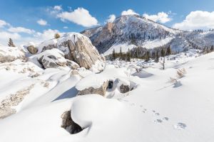 Coyote tracks in the Hoodoos