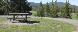 Picnic table overlooking Gibbon River at Norris Campground