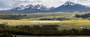 Swan-Lake-from-Bunsen-Peak-Trail | Yellowstone National Park Lodges