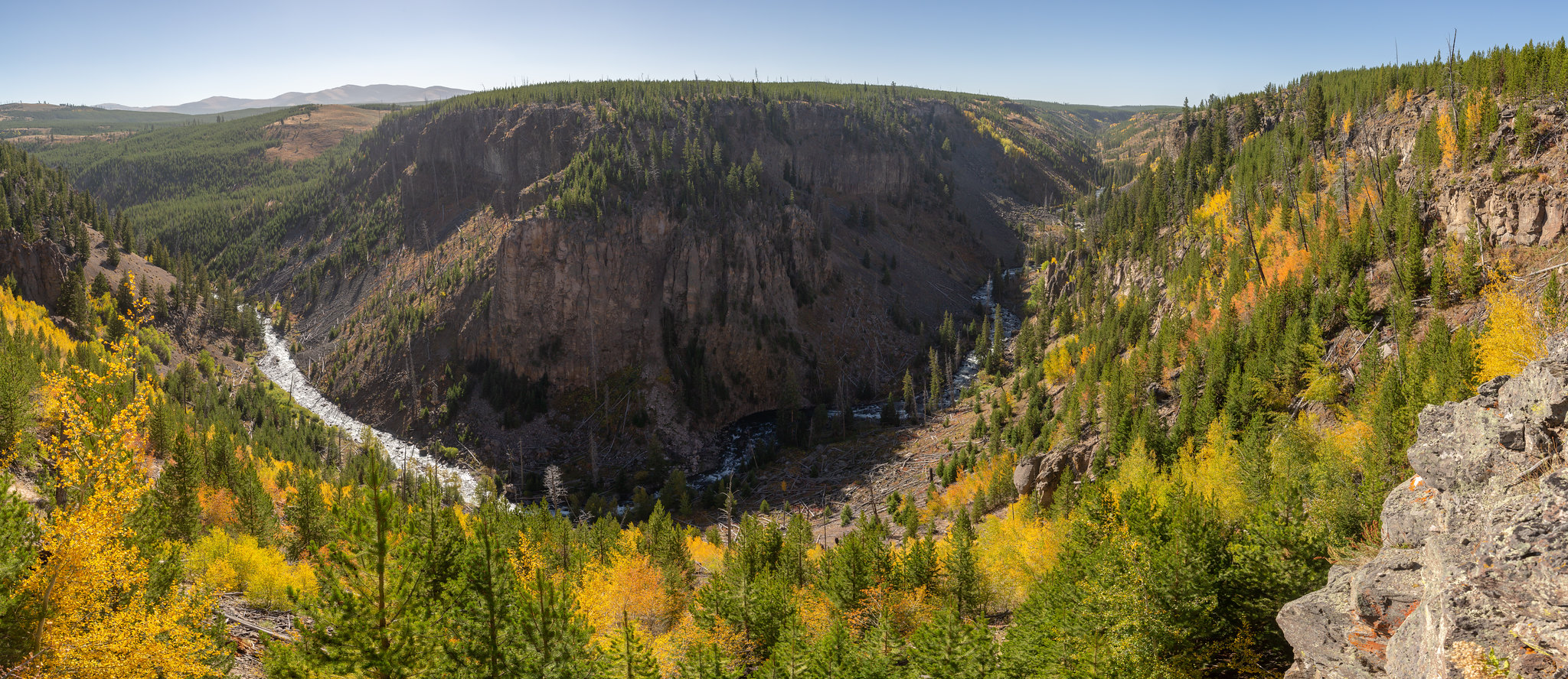 Foliage Gardner Canyon 