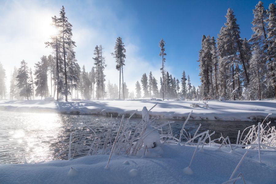 river with snowy landscape of trees in the background