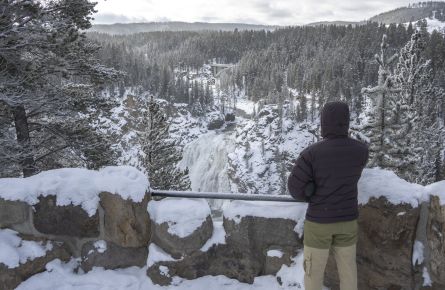 Person at artist's point in winter at the grand canyon of the yellowstone